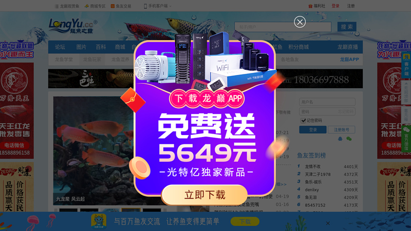 Dragon Fish Summit - a professional dragon fish forum in China, the most comprehensive dragon fish website communication platform.