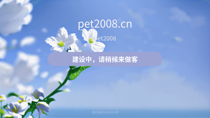 Pingping Home Literature, Agency, Search, Professional, Scientific Research, Academic, Mutual Aid, SD, ezproxy, VPN